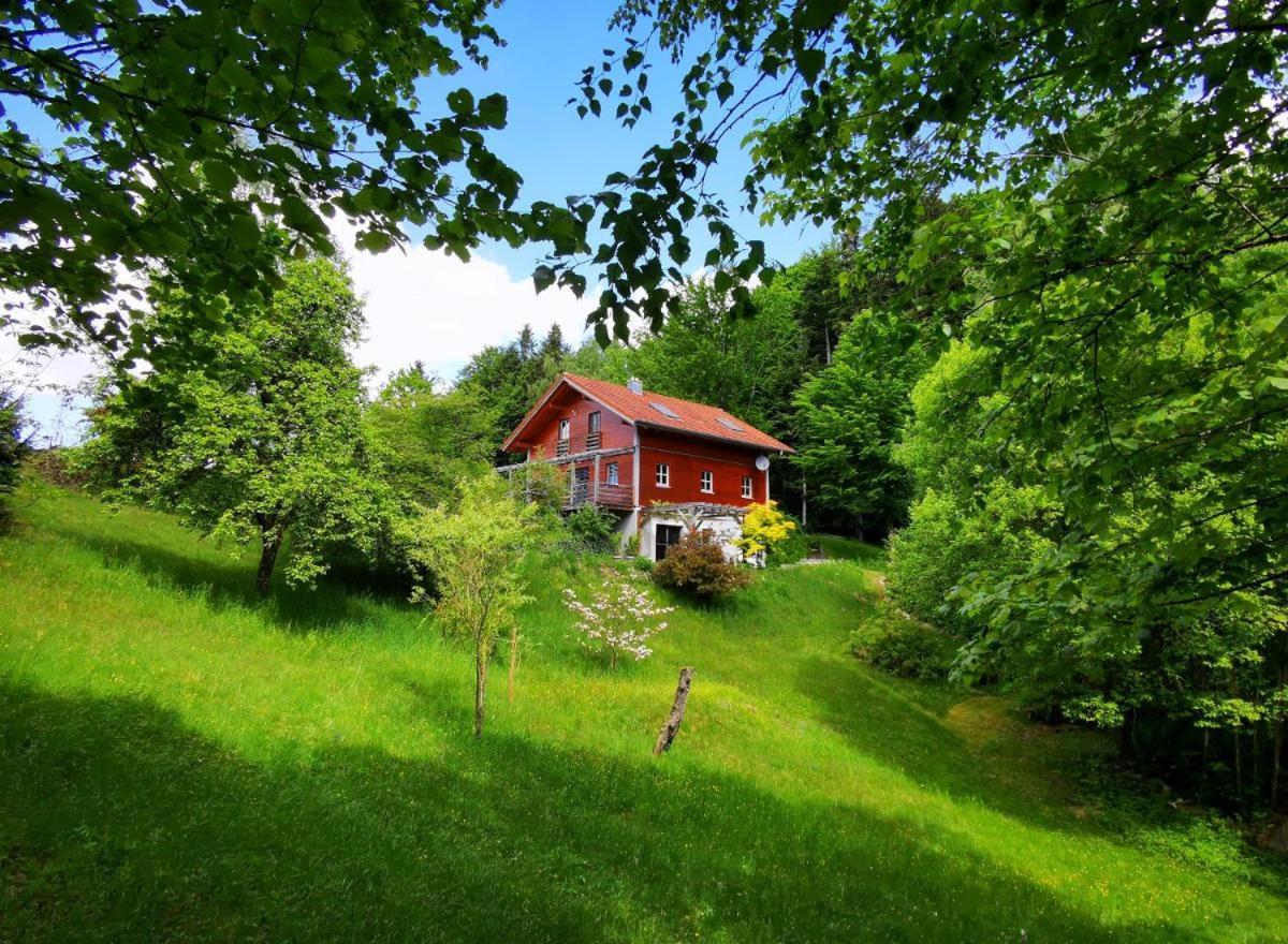 Ferienwohnung Am Woid - Herrliche Alleinlage - Vegane Einrichtung Вальдкирхен Экстерьер фото